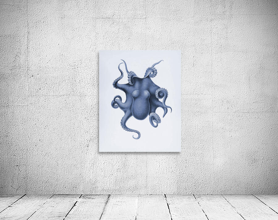 QVT 1030 – Vintage Octopus Illustration Wall Preview