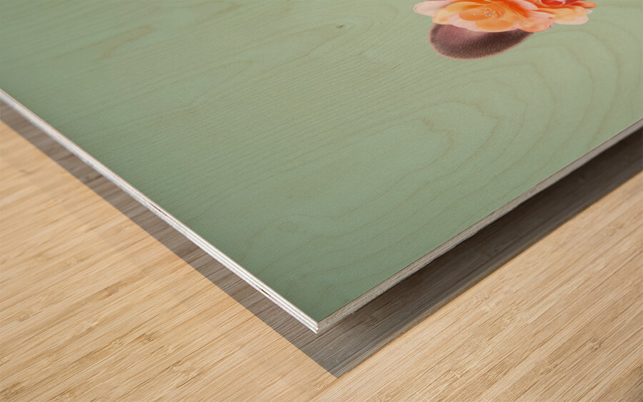 QAN 063 – Fashionable Frenchie Wood print