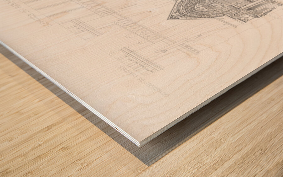 QVT 1125 – Vintage Monografie de la Cathedrale Wood print