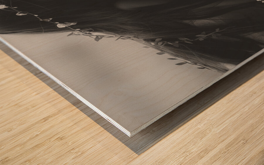 QTY 004b – Frog Prince Wood print