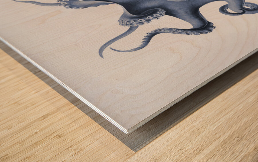 QVT 1030 – Vintage Octopus Illustration Wood print