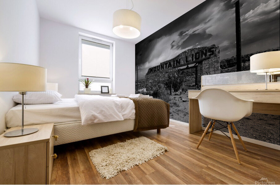 Two Guns Mural print