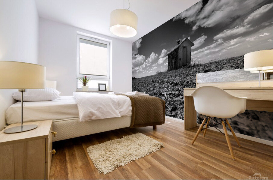 Pump House Mural print