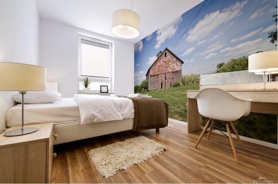 Red Barn Mural print