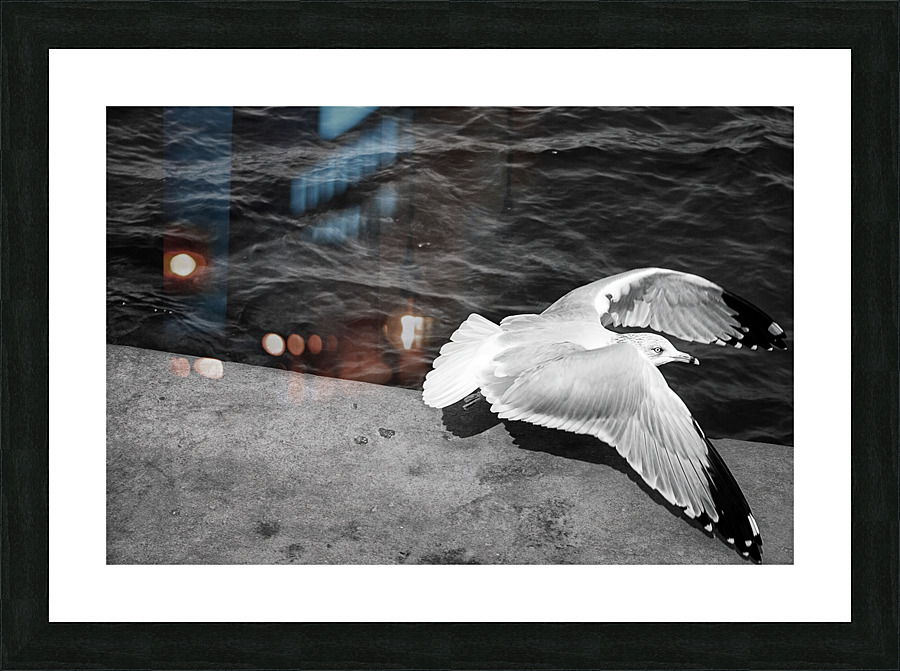 Fight or flight Picture Frame print
