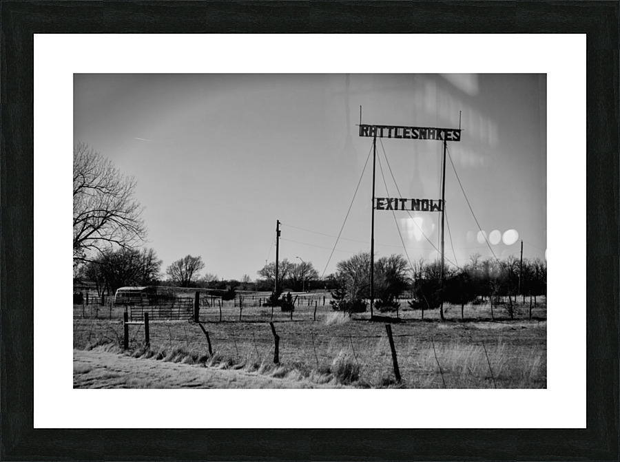 Rattlesnakes  Picture Frame print