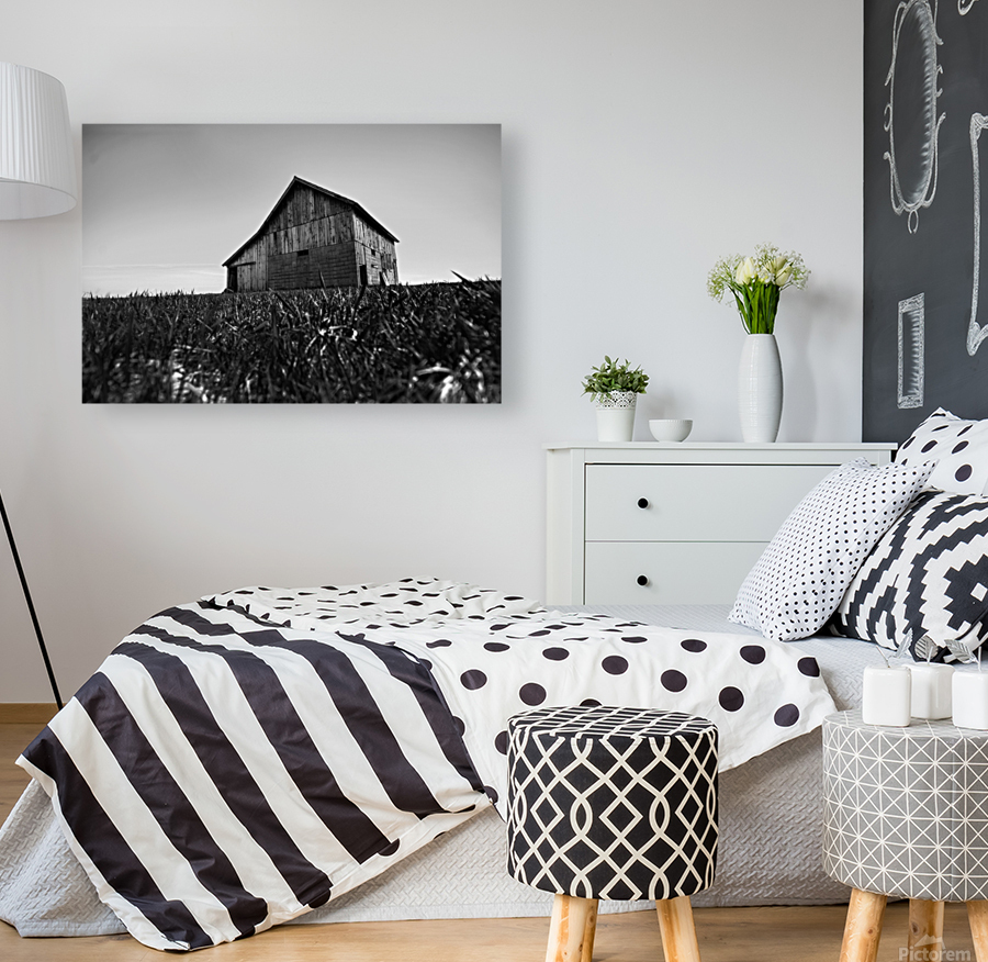 Country structure Reproduction