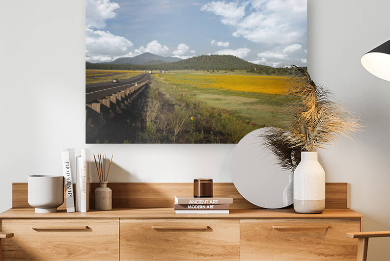 Yellow field by Southwest Six