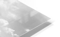 Illinois soil HD Metal print