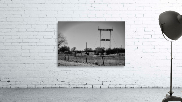 Rattlesnakes  Wall Preview