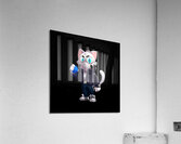 brawl stars Acrylic Print