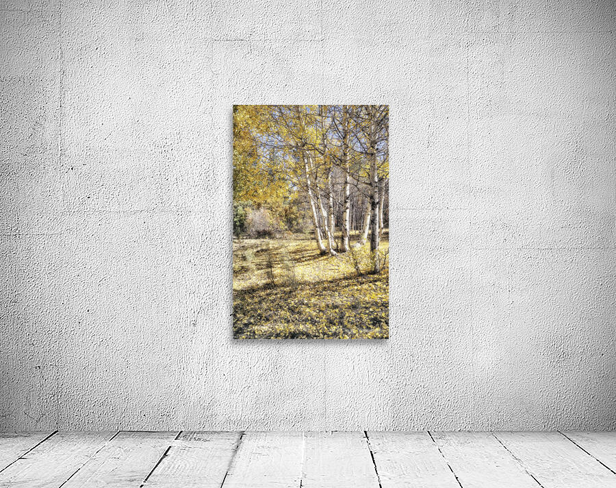 Aspen Yellow Wall Preview