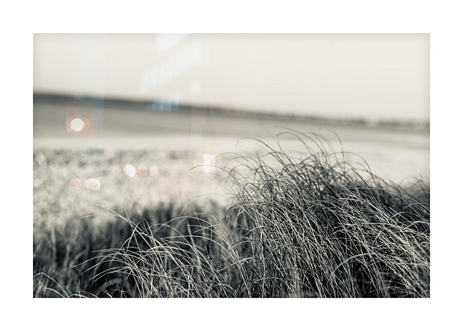 Beach Grass Black White Picture Frame print