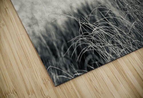Beach Grass Black White DRSM Photography puzzle