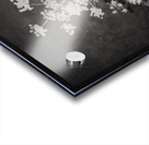 Fields of Home Acrylic print