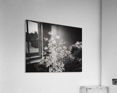 Fields of Home Acrylic Print