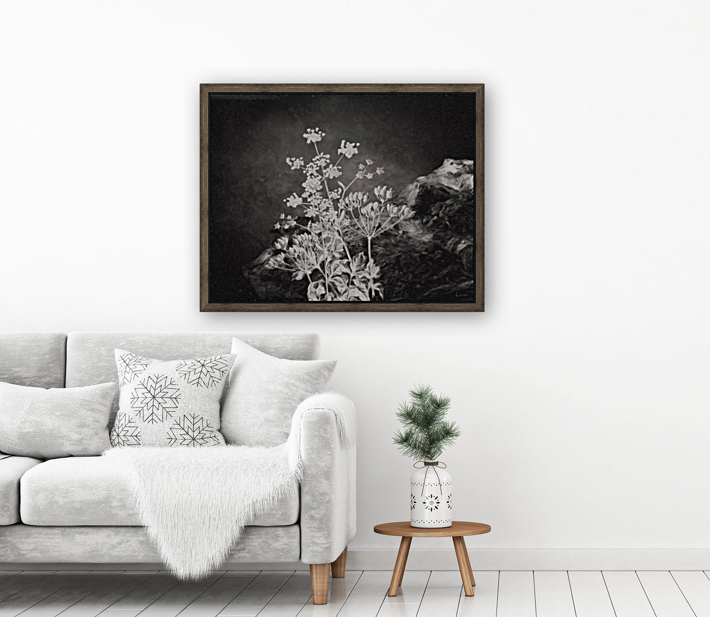 Fields of Home Reproduction