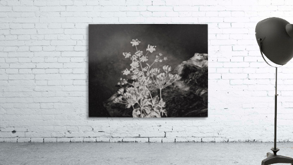 Fields of Home Wall Preview