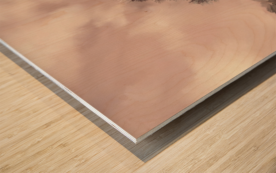 Twisted Pine Wood print