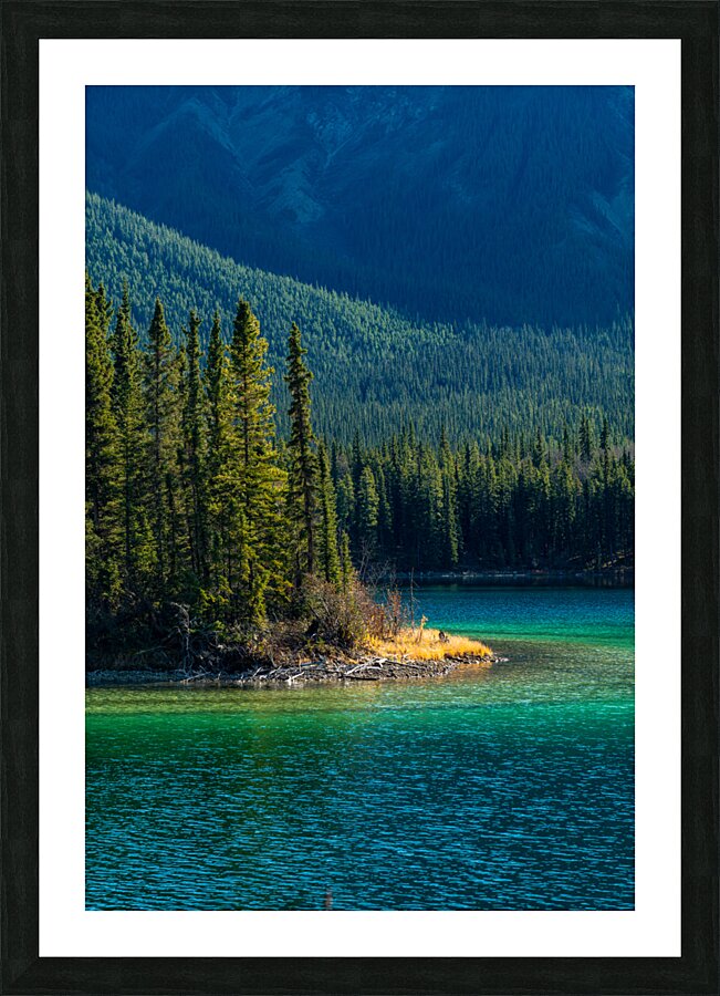  Fine Art print