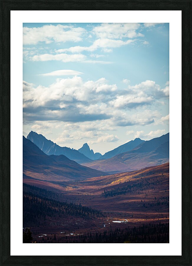  Fine Art print