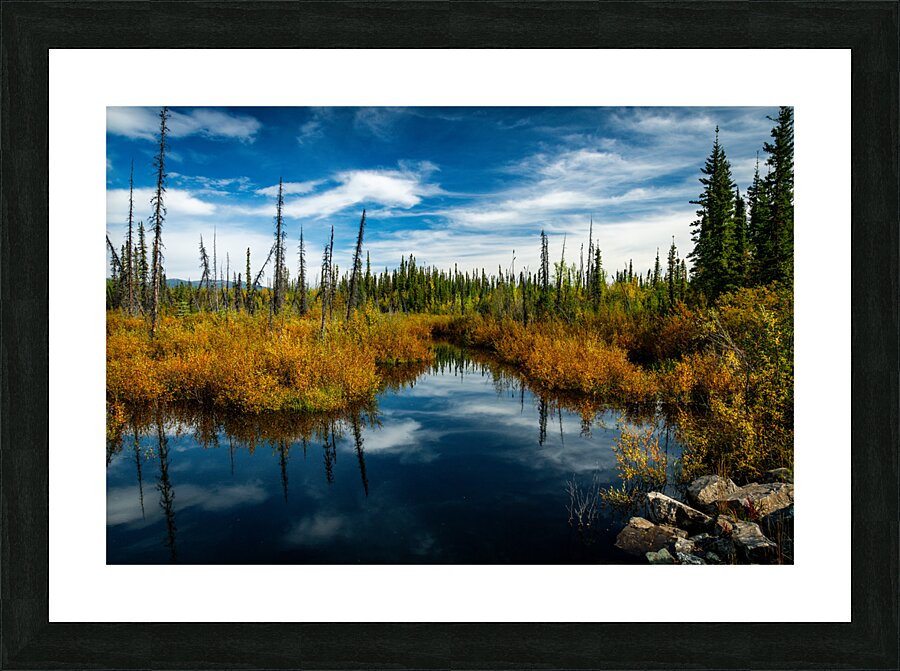 North Canol Fall  Picture Frame print
