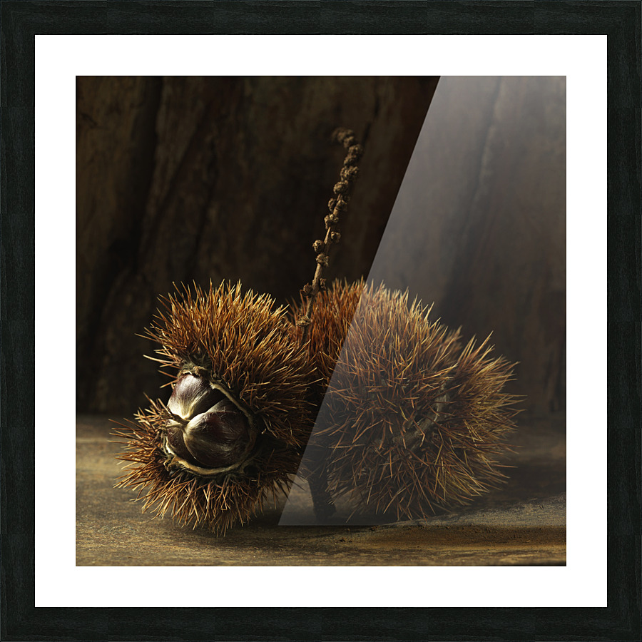 Chesnut 2 Picture Frame print