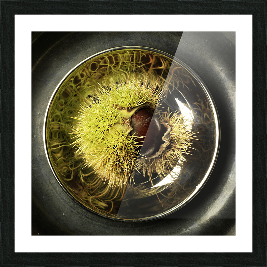 chesnut 1 Picture Frame print