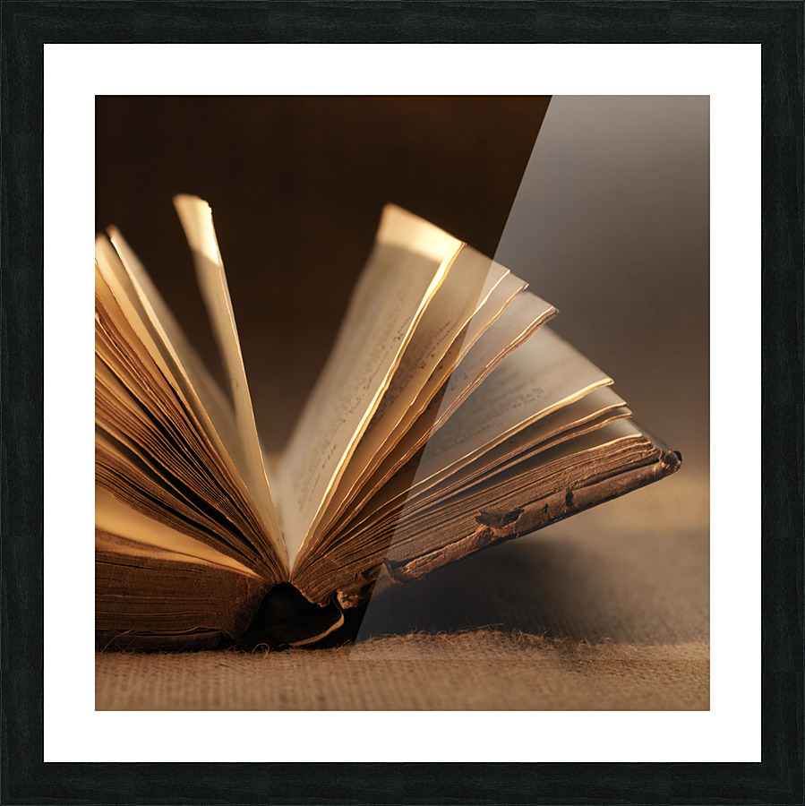 Old book 2 Picture Frame print