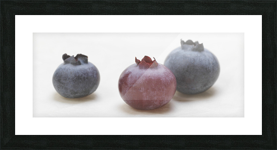 Blueberry 3 Picture Frame print