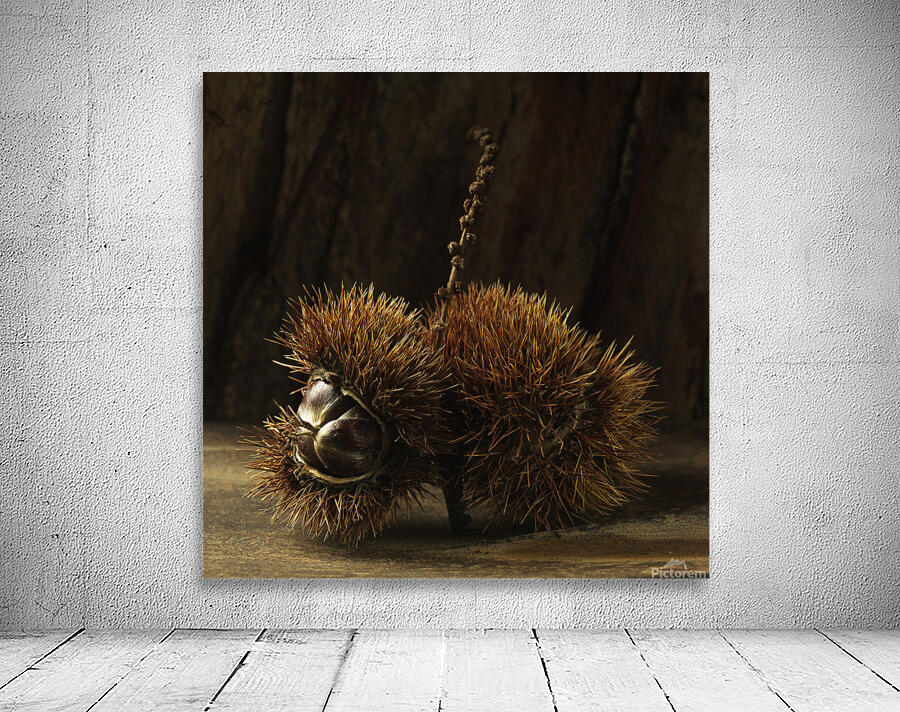 Chesnut 2 Wall Preview