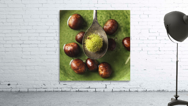 Chesnut 5  Wall Preview
