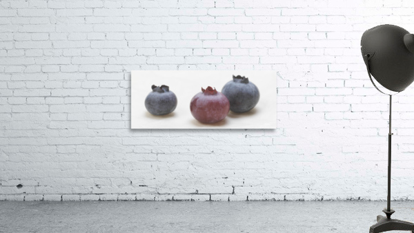 Blueberry 3 Wall Preview