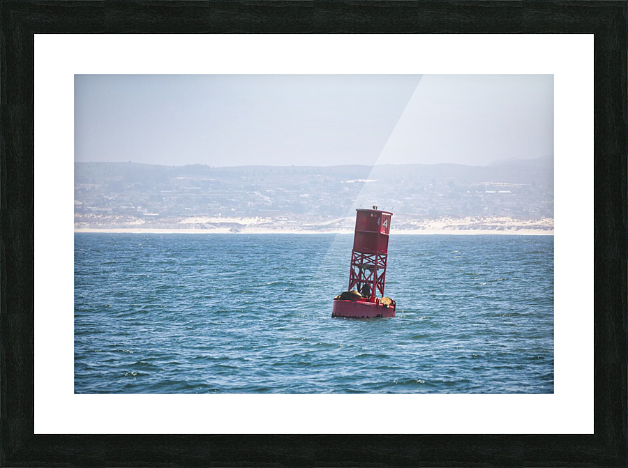 Bouy Picture Frame print