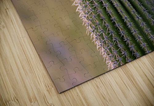 Saguaro Cactus Closeup Brian Walker puzzle