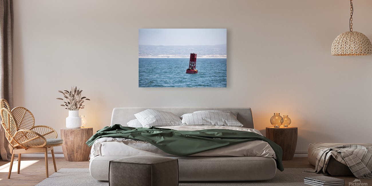 Bouy Reproduction
