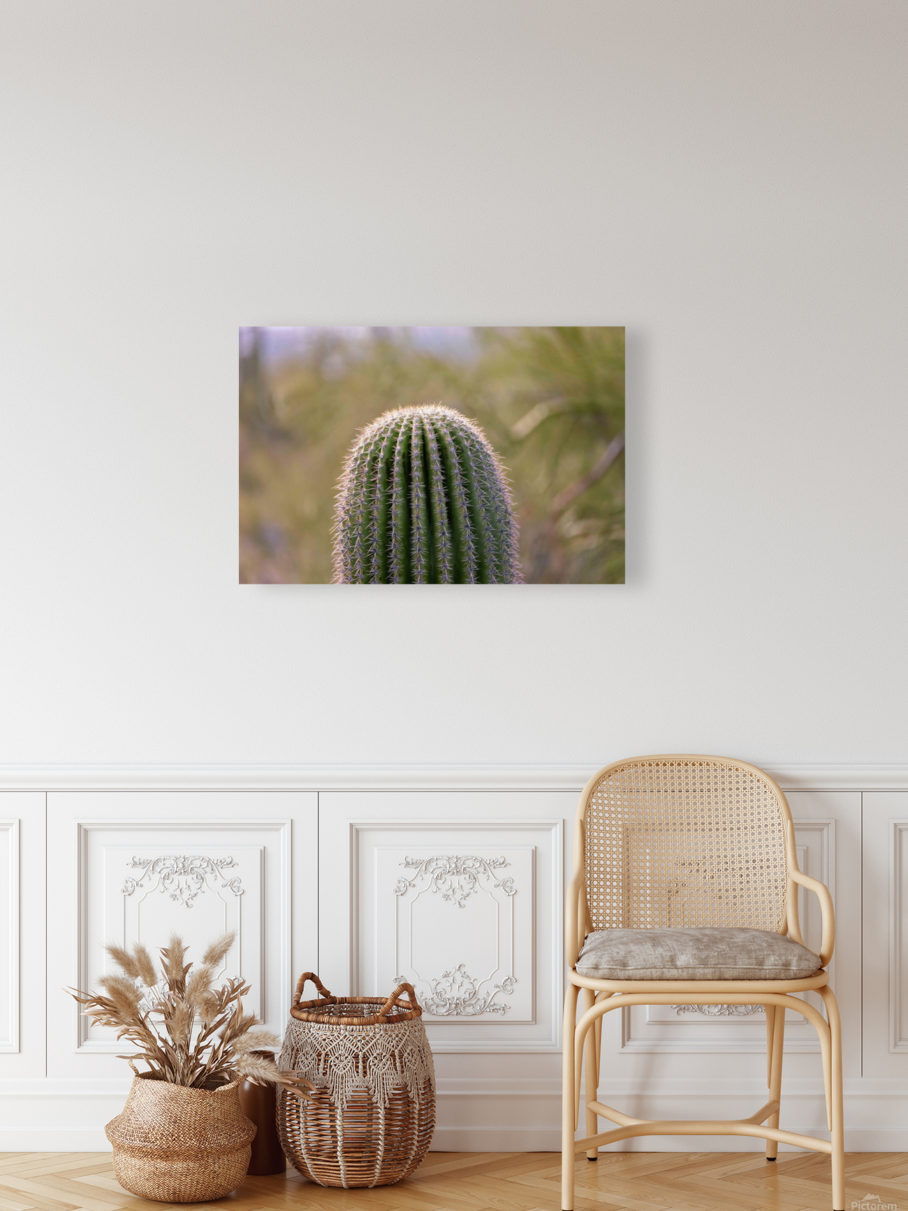 Saguaro Cactus Closeup Reproduction