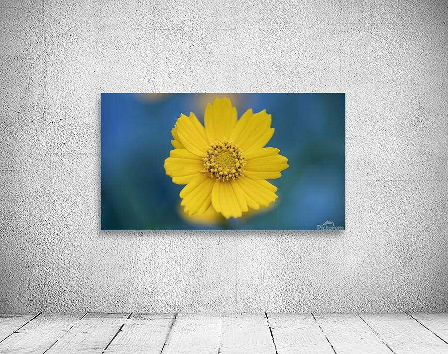 Yellow Flower Wall Preview