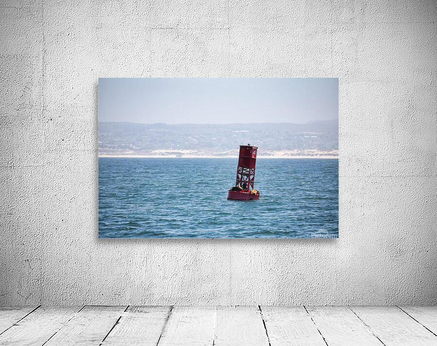 Bouy Wall Preview