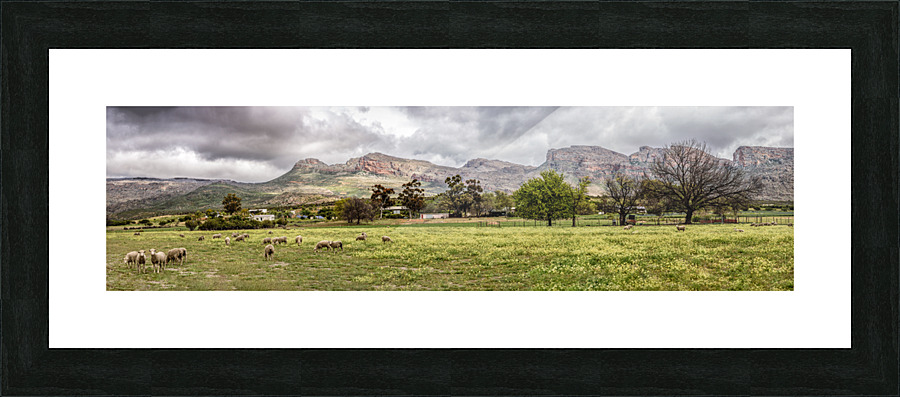 Cedarberg beauty Picture Frame print