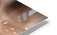 Close Up Ghecko HD Metal print