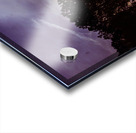 Peeking Through Trees Acrylic print