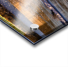 Surprise Porpoise Heron Attack Acrylic print