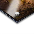 Old City Cemetery Bird House Acrylic print