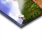 Canadian Rocky Mountain Indian Paintbrush Acrylic print