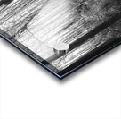 Meandering in the Frances Marion National Forest Acrylic print