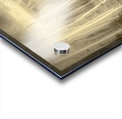 Artistic Colorado Aspens in Sepia Monotone Acrylic print