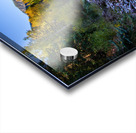 Colorado Mountain River Glow Acrylic print