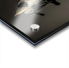 Abstract Heavenly Tree Acrylic print