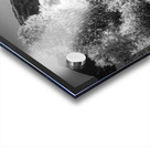 Aspen Backroad Mountain Runner Acrylic print